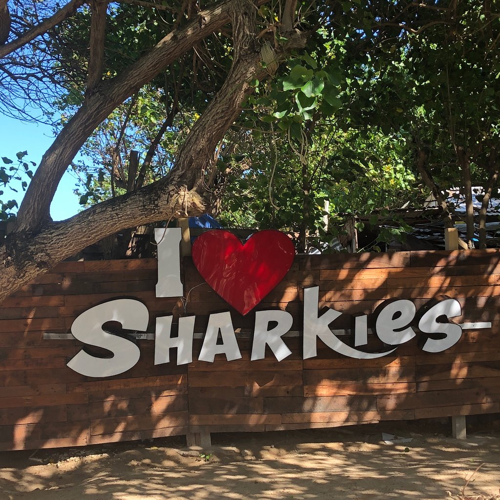 I Love Sharkies
